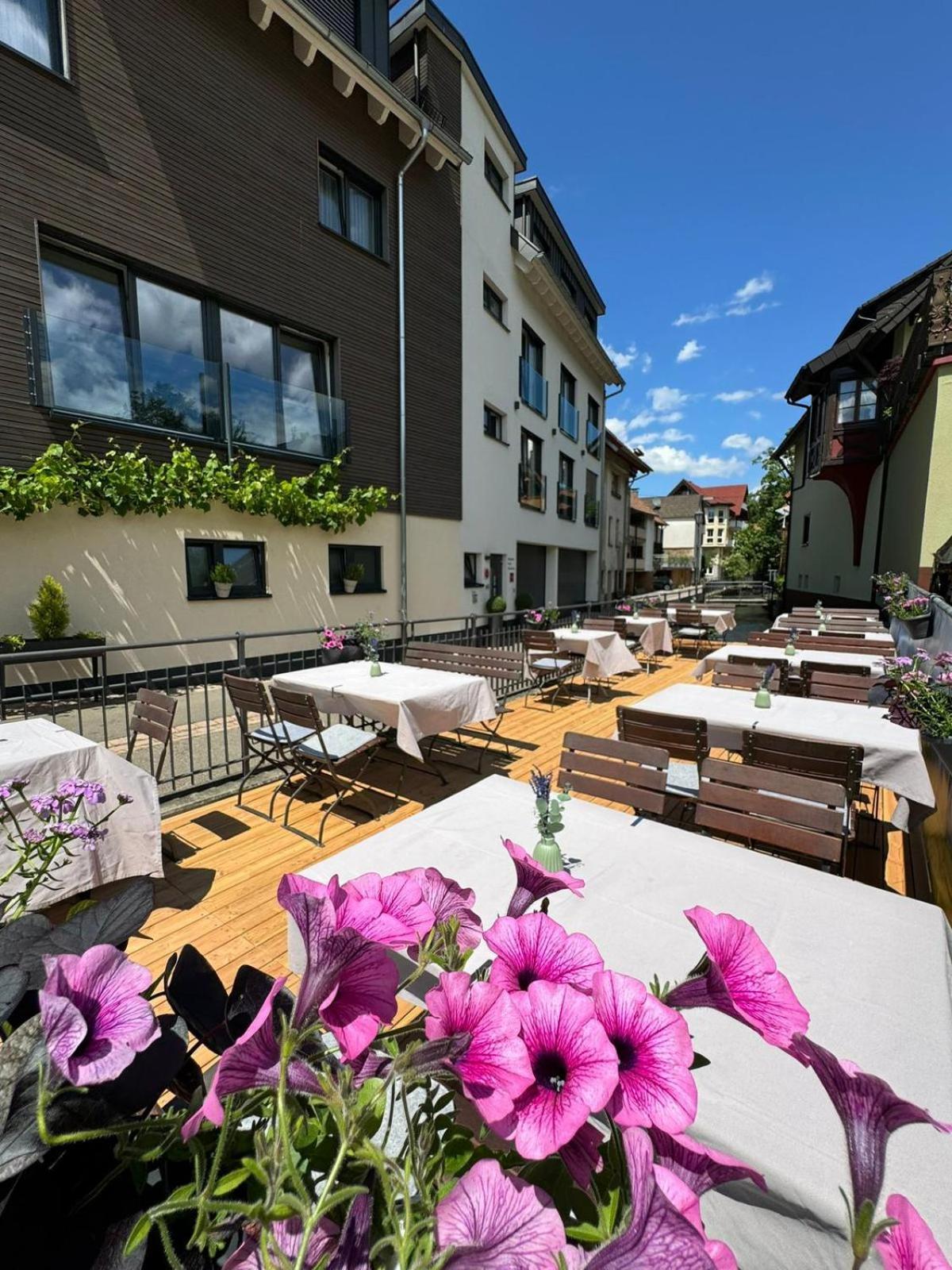 Hotel Restaurant Kochschule Roessle 埃尔察赫 外观 照片